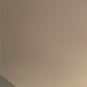 Meet your Posher, Paige